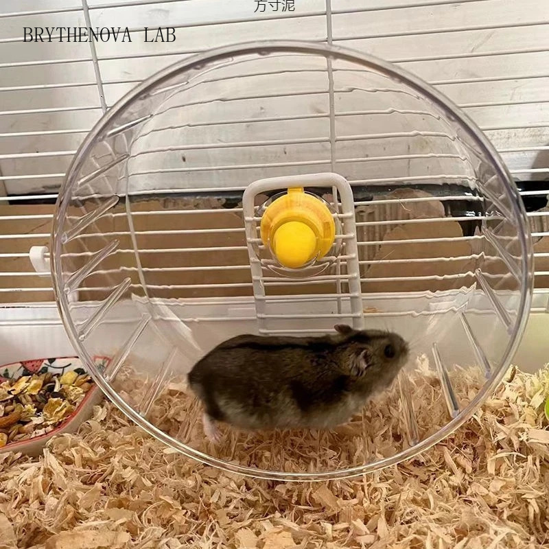 Hamster Cage Wheel - Hamsterloopwiel met standaard, groot, stil, anti-knel,