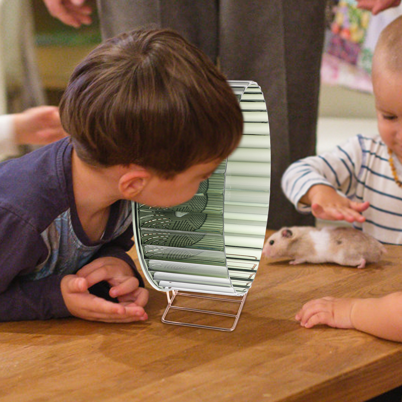 Hamster Cage Wheel - Gezonde groei Hamsterwiel Oefenwiel voor egels,