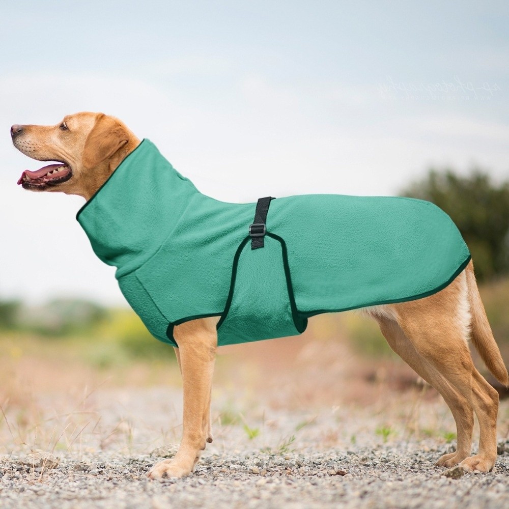 Effen kleur Warme winterhonden - Dog Anxiety Vest recensie en prijs