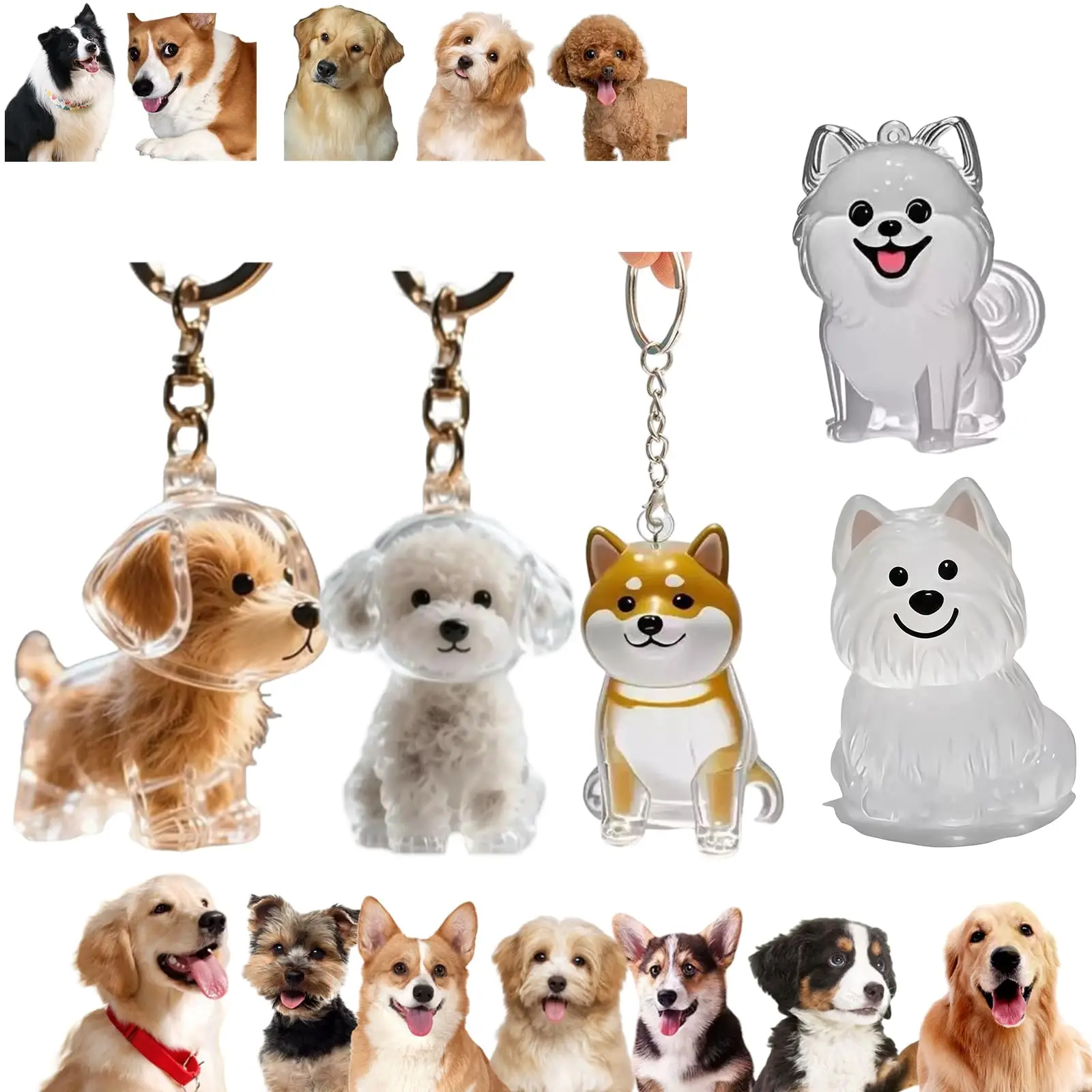 Transparante huisdierherdenkin - Pet Supplies Outlet recensie en prijs