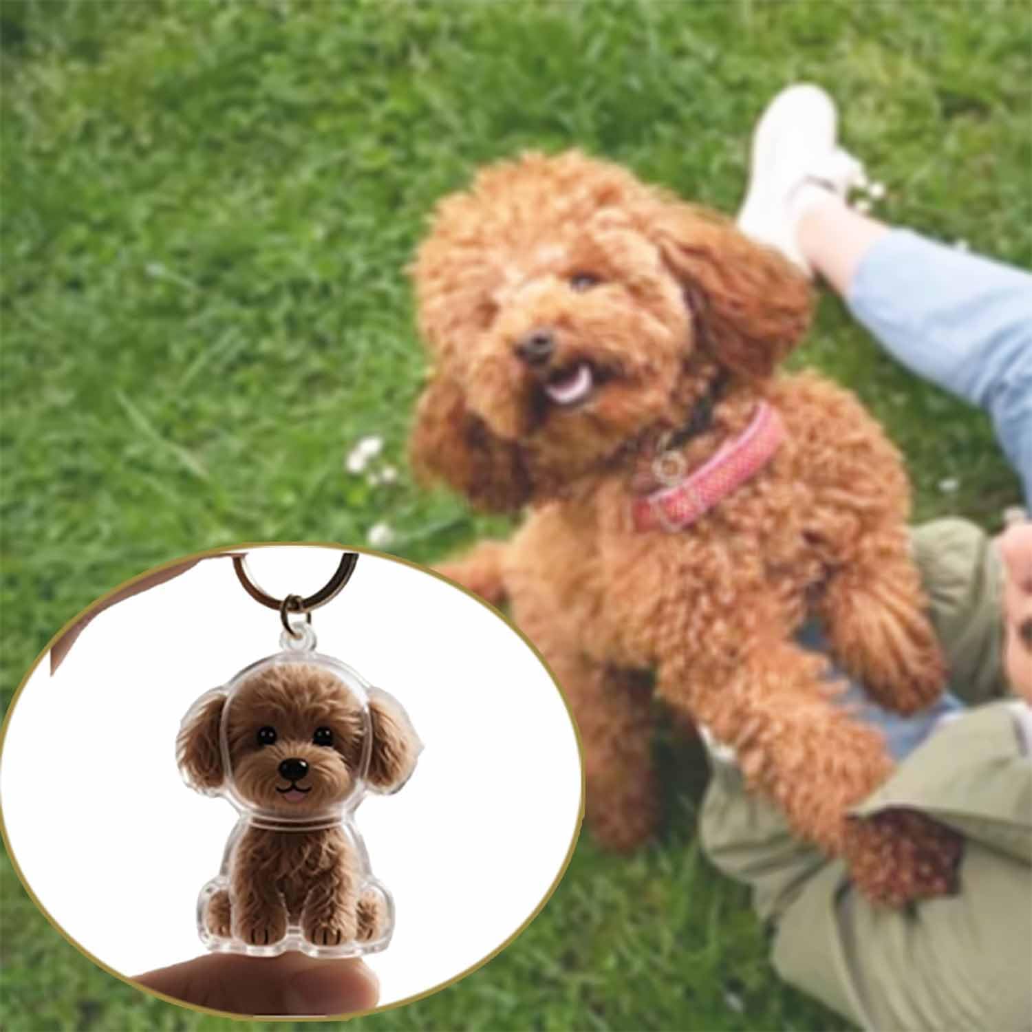 Transparante huisdierherdenkin - Pet Supplies Outlet recensie en prijs
