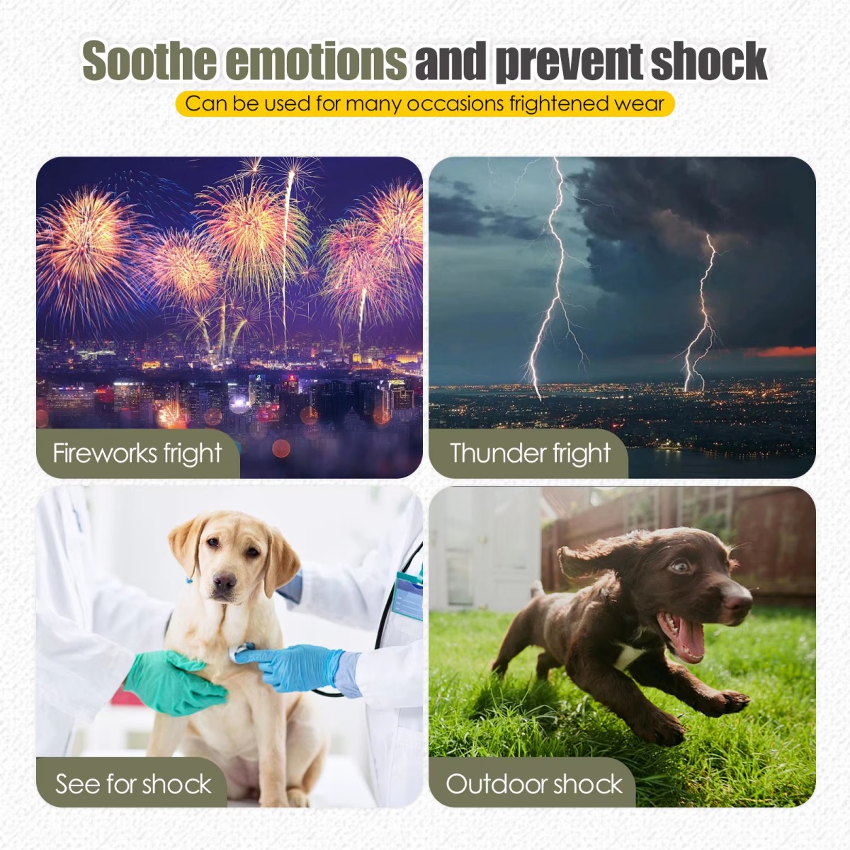 Hondenangstvest en -jas - houd - Dog Anxiety Vest recensie en prijs
