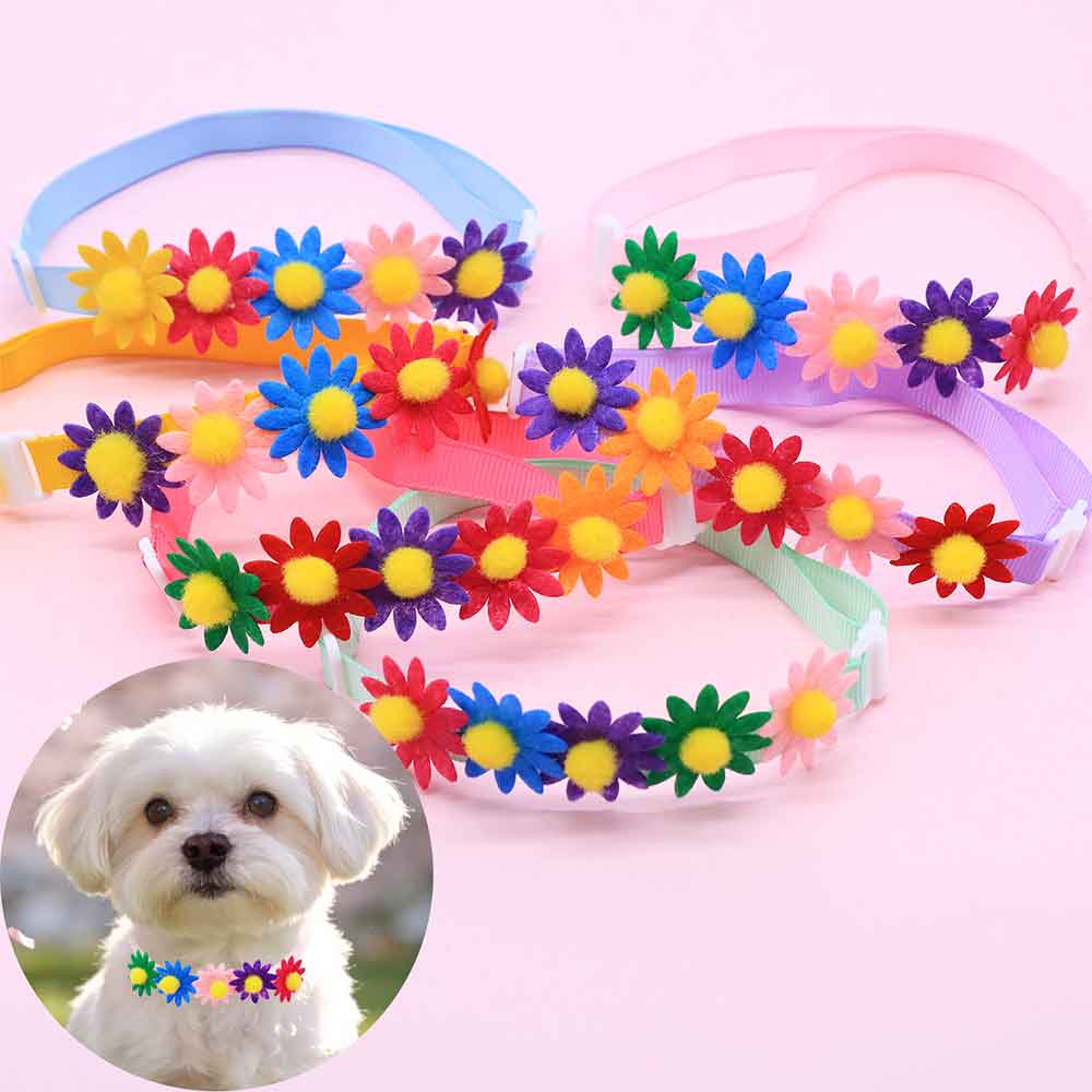 50 STKS Kleurrijke Hond Strikj - Pet Supplies Co recensie en prijs