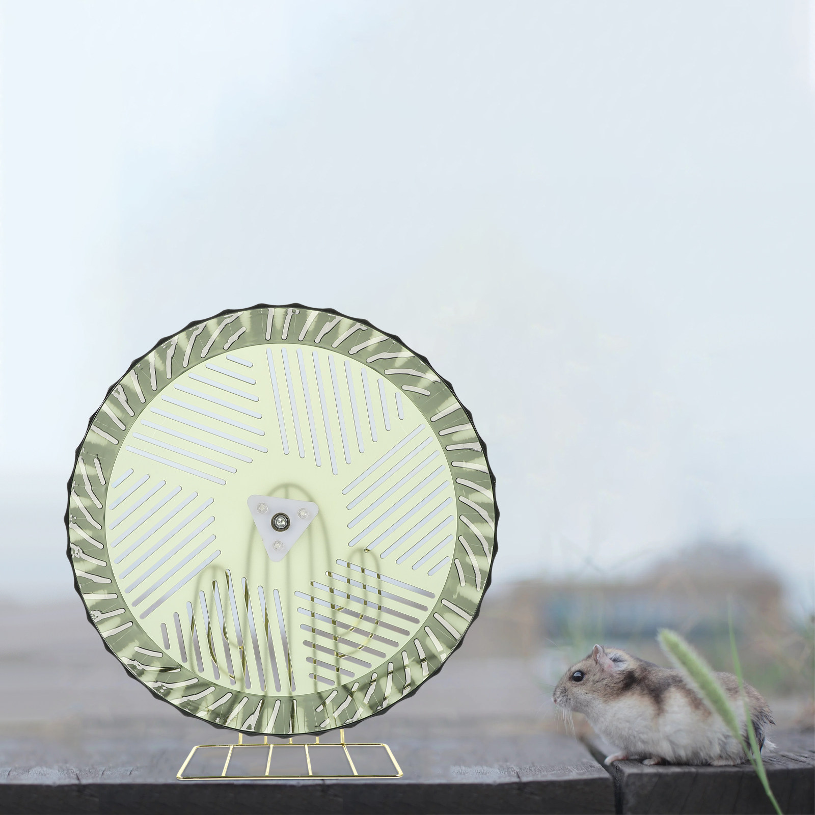 Gezonde groei Hamsterwiel Oefe - Hamster Cage Wheel recensie en prijs