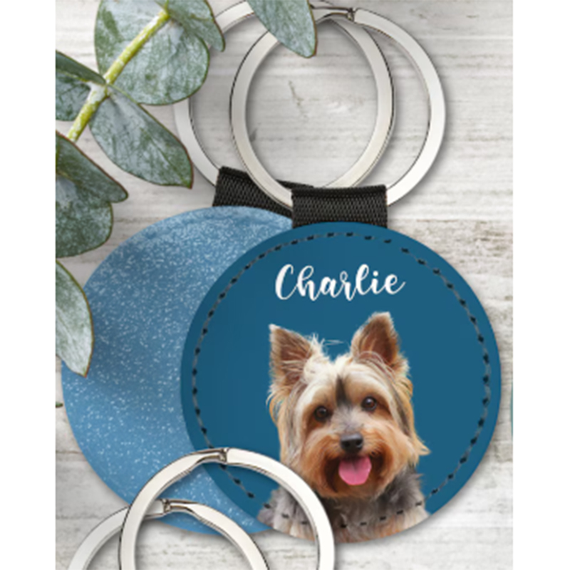 Aangepaste huisdier foto sleut - Pet Supplies Outlet recensie en prijs