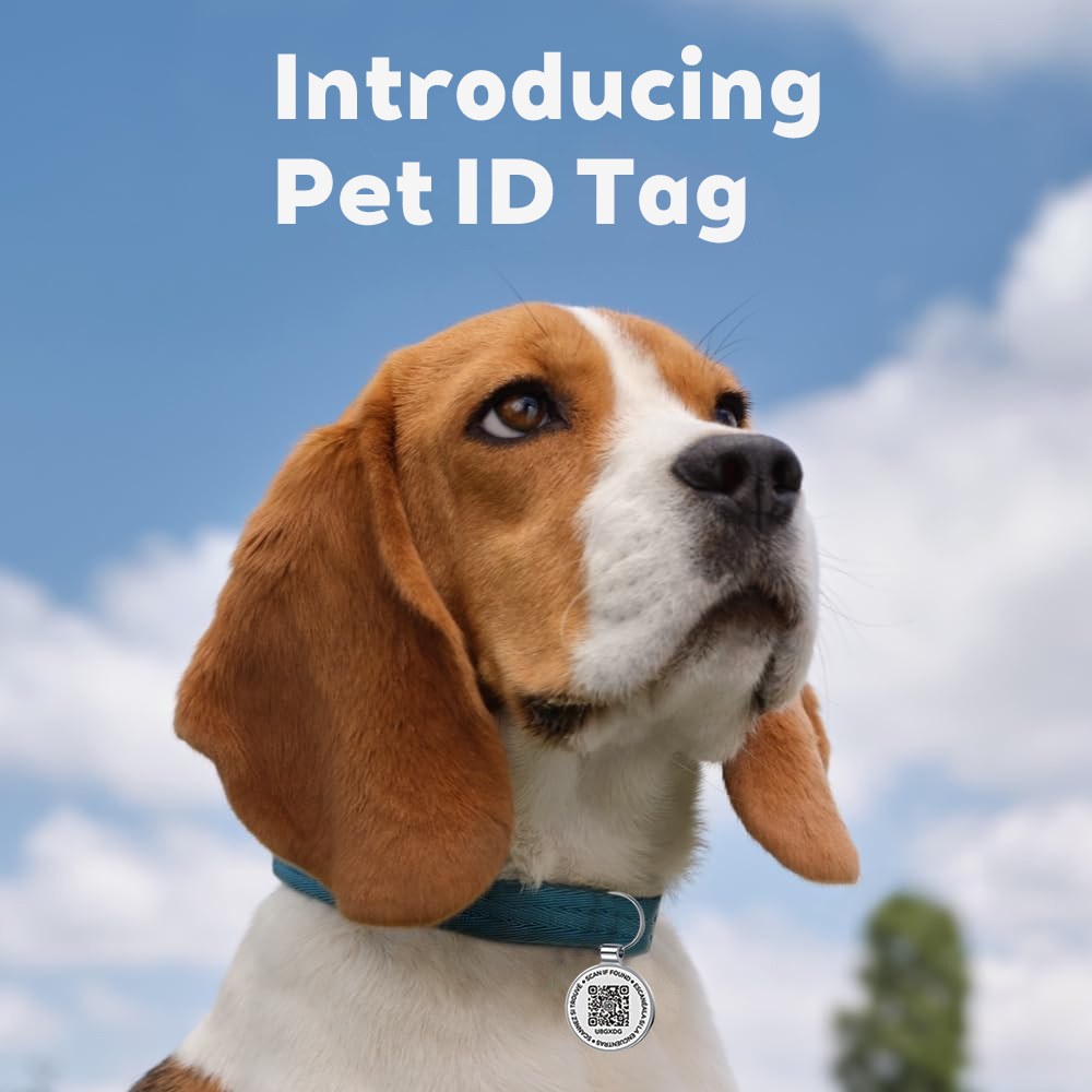 QR ID Huisdierlabel, Metalen H - Pet Supplies Online recensie en prijs