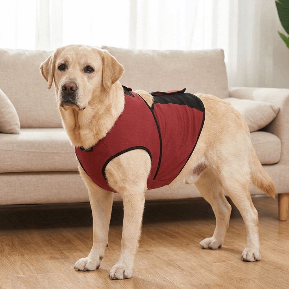 Praktisch ademend kalmerend ve - Dog Anxiety Vest recensie en prijs