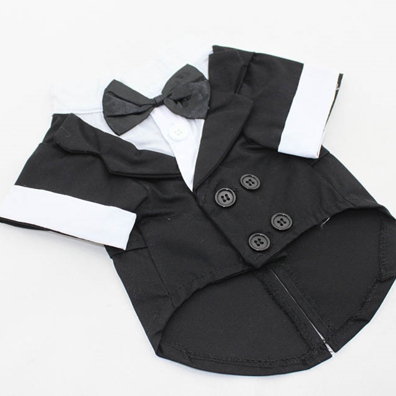 Hondenshirt Puppykleding, Huis - Pet Supplies Co recensie en prijs