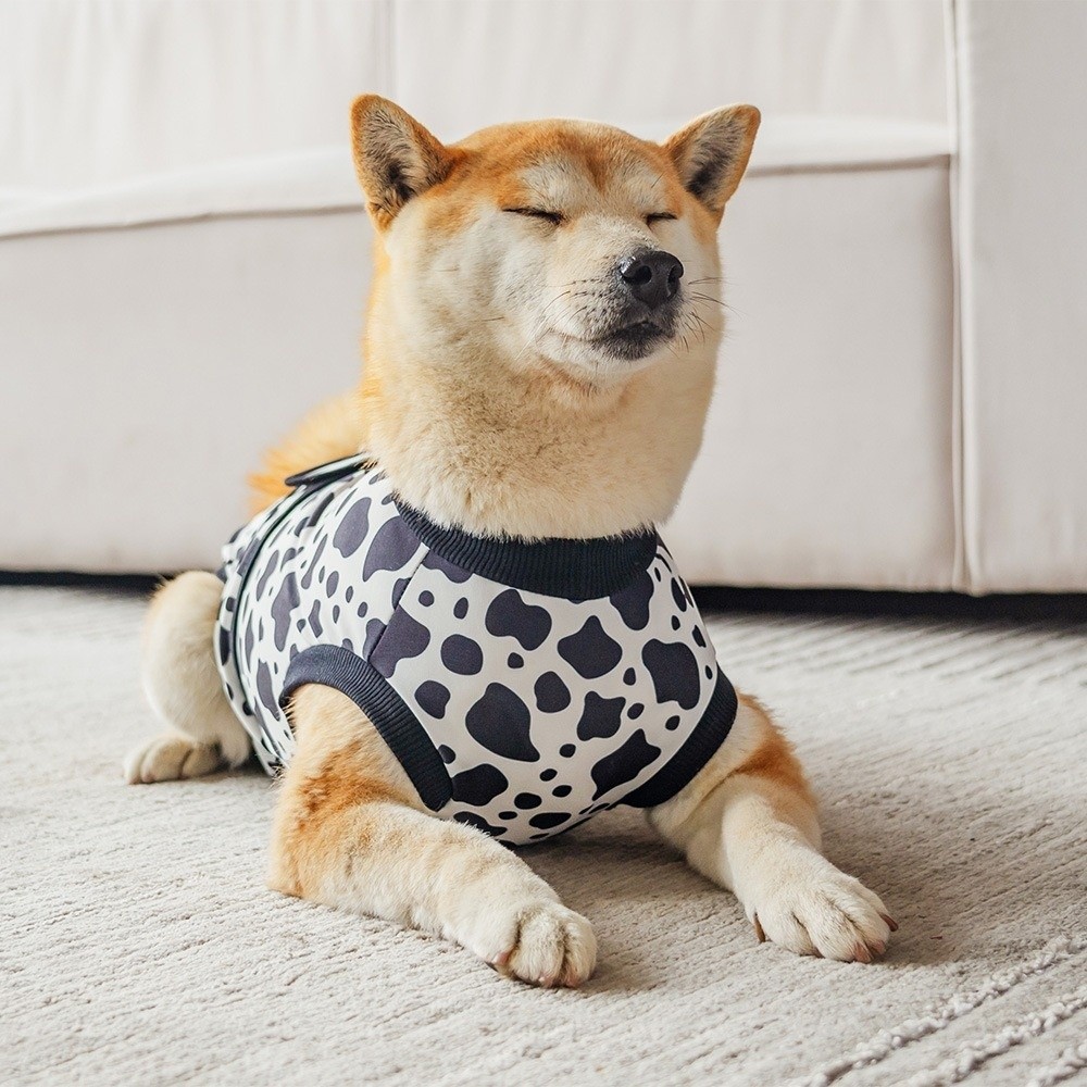Universeel ademend herstelpak  - Dog Anxiety Vest recensie en prijs