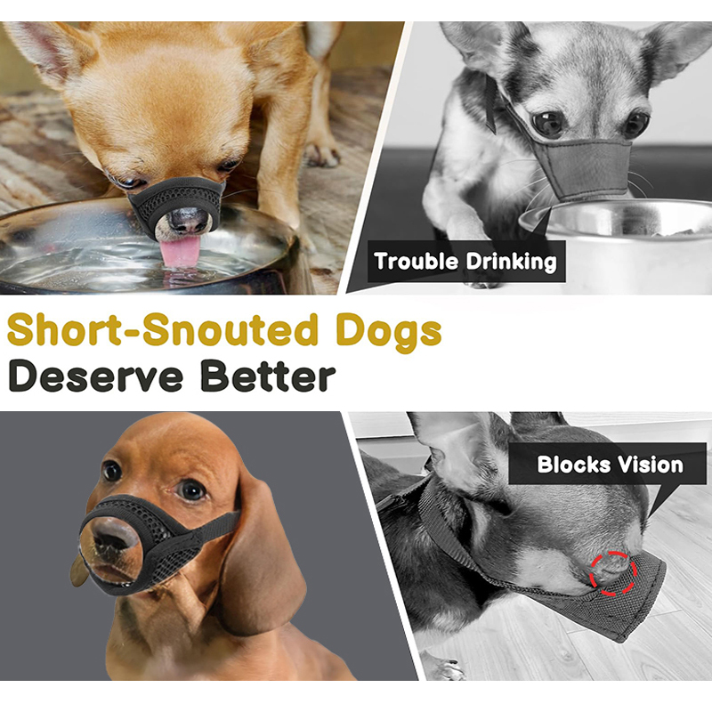 Mesh-mondkapje voor korte snui - Pet Supplies Co recensie en prijs