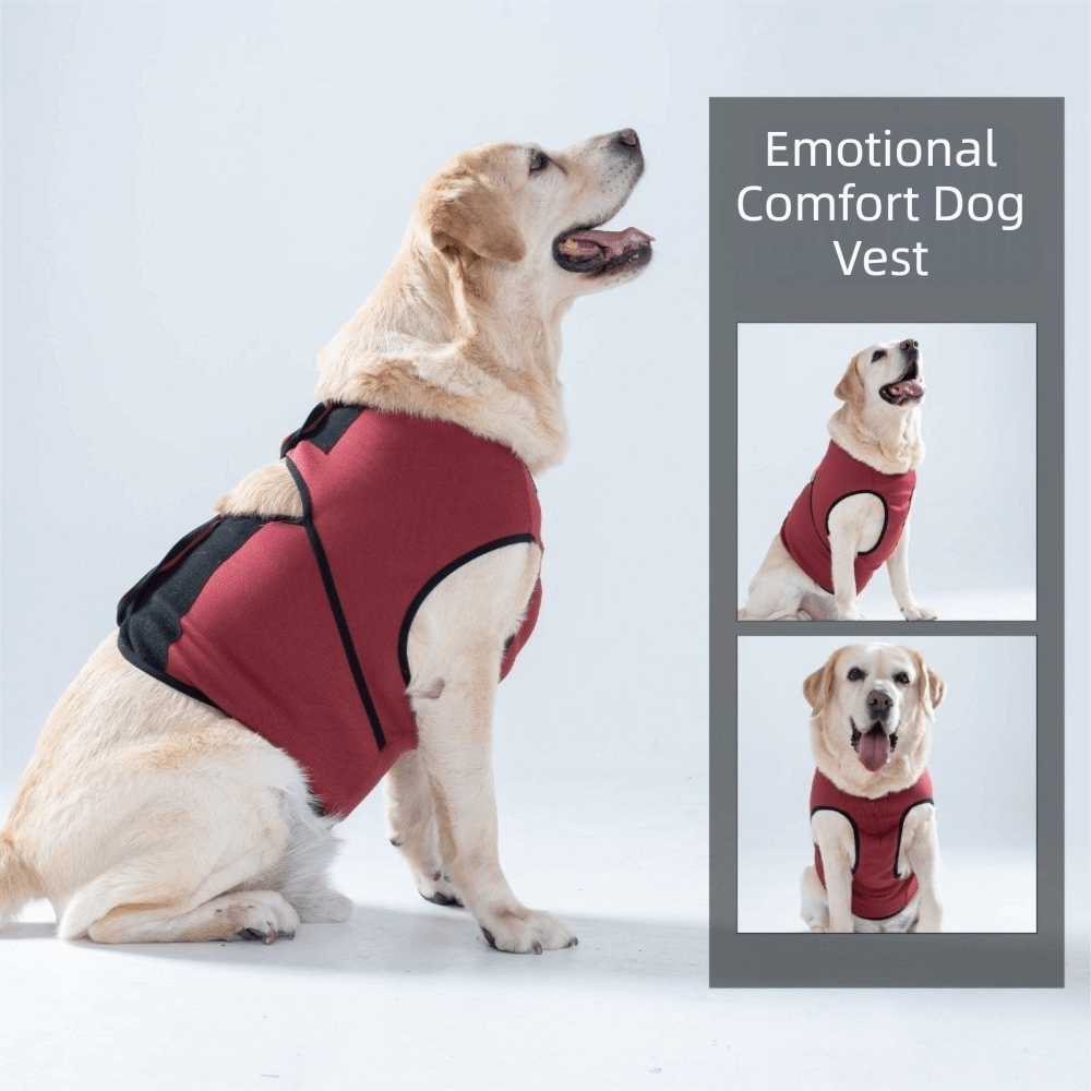 Ademend kalmerend vest voor ho - Dog Anxiety Vest recensie en prijs