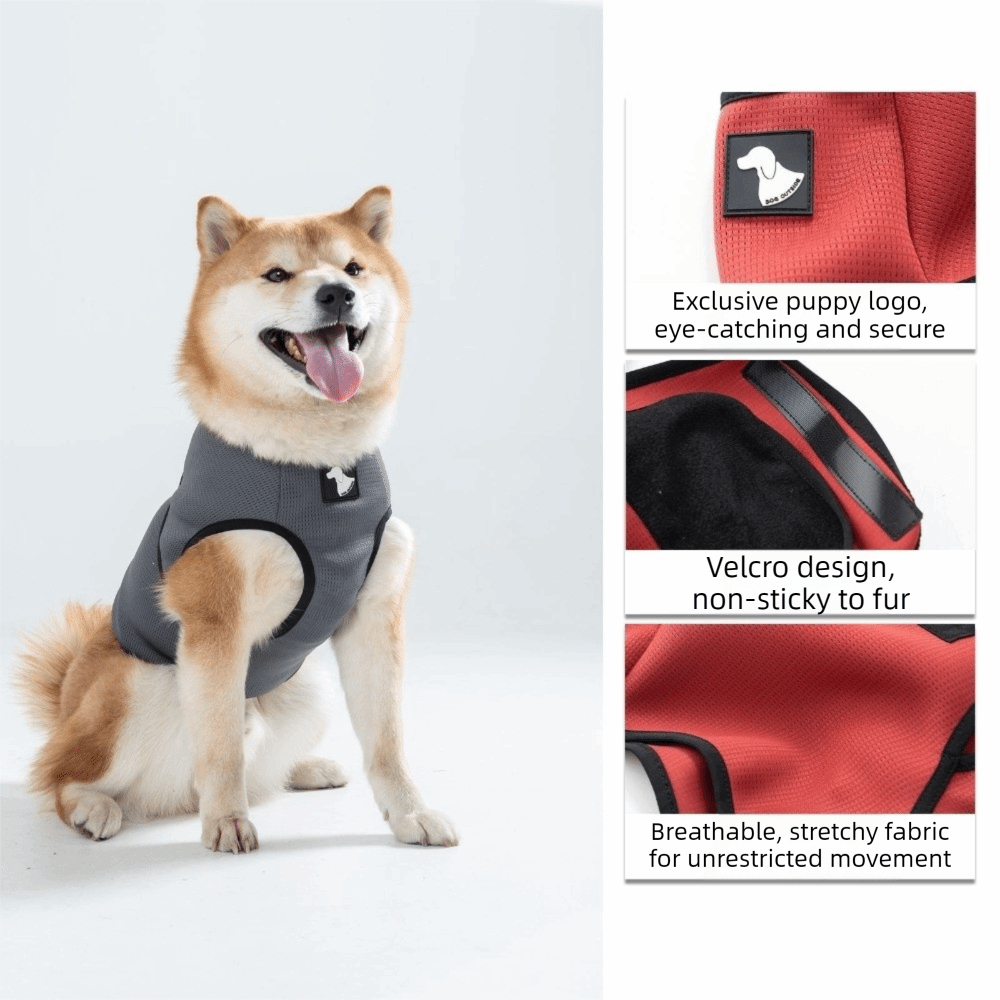 Ademend kalmerend vest voor ho - Dog Anxiety Vest recensie en prijs