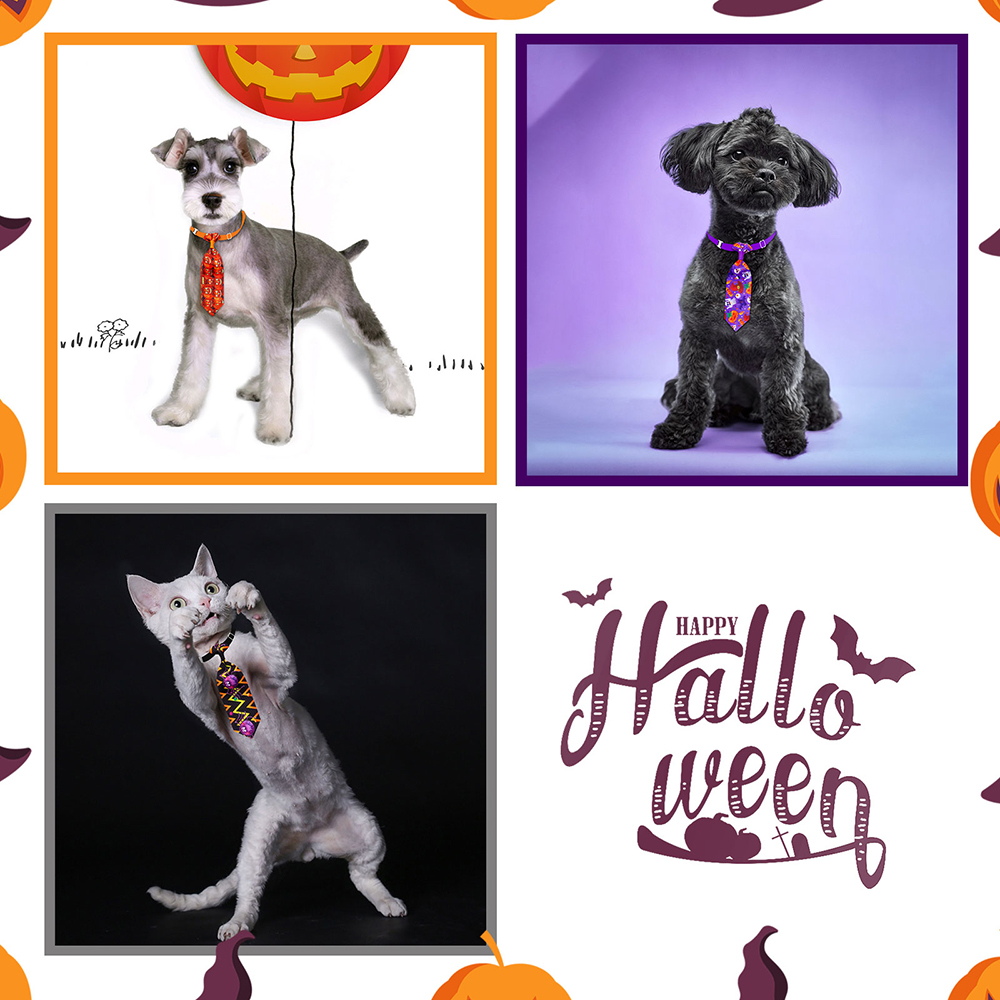 50/100 Stuks Halloween Hond Ve - Pet Supplies Co recensie en prijs