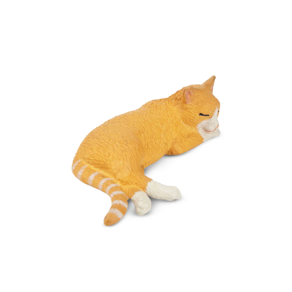 Toymany Simulatie Liggen Oranj - Pet Supplies Delivery recensie en prijs