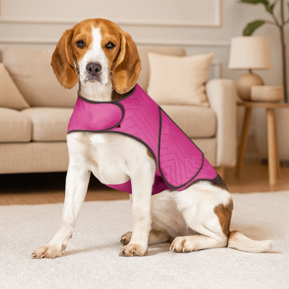 Praktische elastische hondenan - Dog Anxiety Vest recensie en prijs