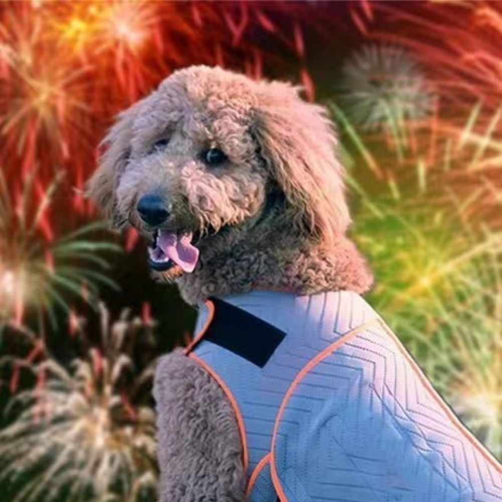 Praktische elastische hondenan - Dog Anxiety Vest recensie en prijs