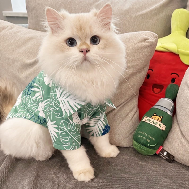 Zomer Hawaiiaans strandstijl h - Pet Supplies Co recensie en prijs