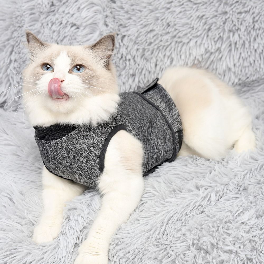 Verstelbare Kat Kalmerend Vest - Dog Anxiety Vest recensie en prijs