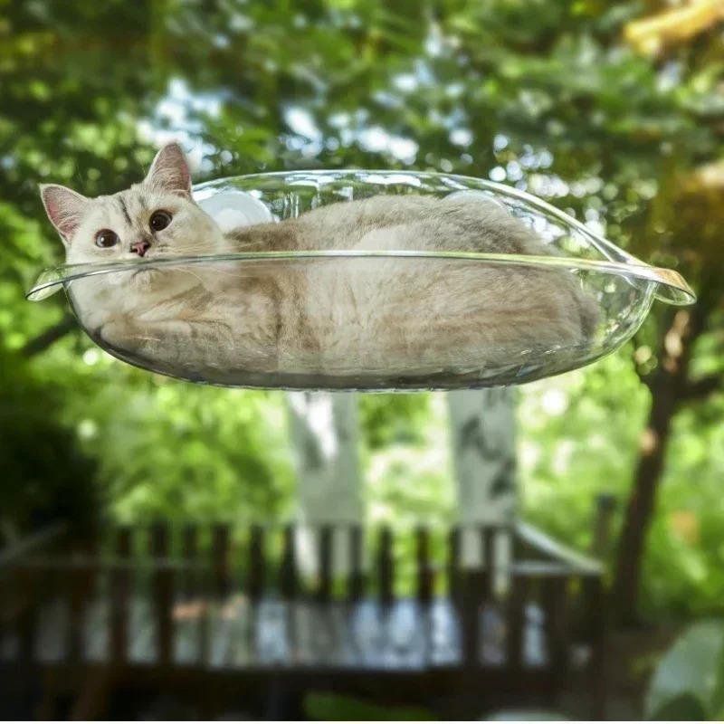 Raambed voor katten Kittenacce - Pet Supplies Delivery recensie en prijs