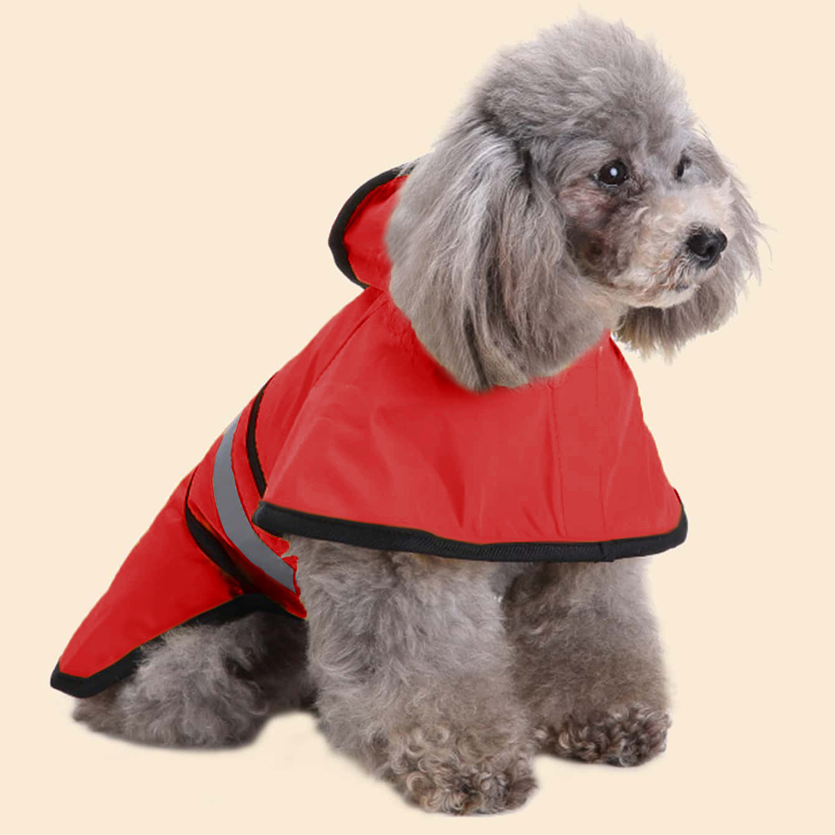Lente Zomer Waterdichte reflec - Pet Supplies Co recensie en prijs