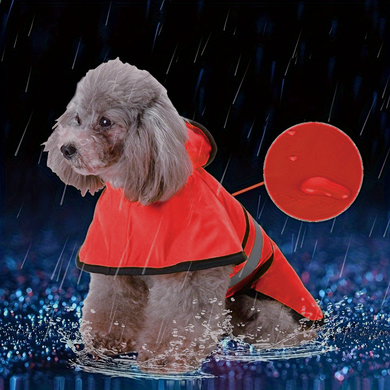 Lente Zomer Waterdichte reflec - Pet Supplies Co recensie en prijs