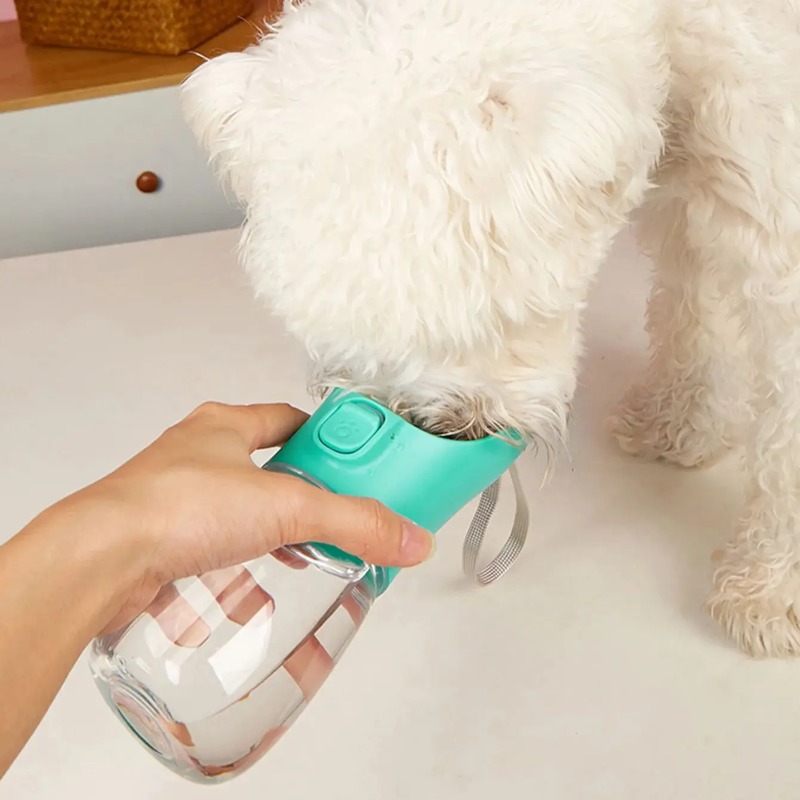 Draagbare grote hondenwaterfle - Pet Supplies Co recensie en prijs